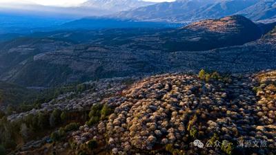 滇西北秘境！赏万亩梅花+泡天然温泉，大理洱源3条精品旅游路线全攻略
