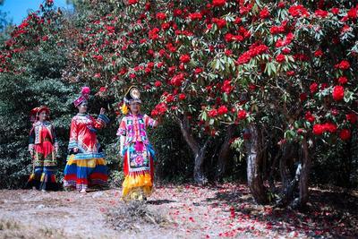 全国推介！楚雄这条乡村休闲旅游精品线路等你来打卡