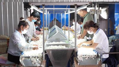 楚雄永仁：一根“银丝”织就富民强县新画卷