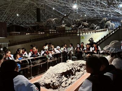 49.83万人次，喜迎“开门红” ！楚雄州元旦文体旅商融合“火”出消费新热度