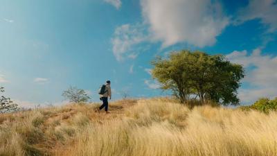 冬暖花开游云南丨冬日到元江，赴一场萨王纳的金色旷野之约