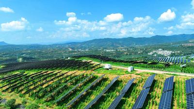 楚雄永仁：一根“银丝”织就富民强县新画卷