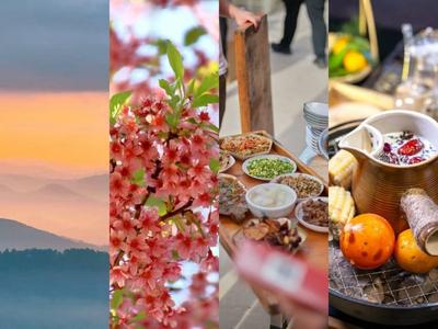 冬暖花开游云南 | 普洱的冬天，是一场温暖的“预谋”