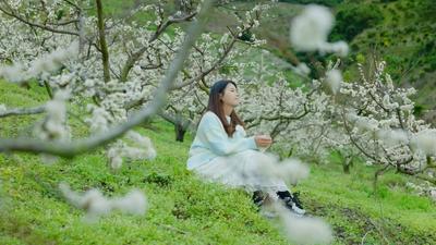 新春“趣”游玉溪丨玉溪的“反季浪漫”：这些冬日花海藏不住了