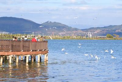 新春“趣”游玉溪丨你有一份通海旅行攻略请查收