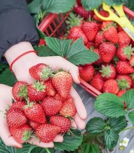 冬暖花开游云南 | 走啊！我们一起去永仁晒太阳