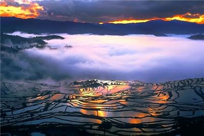 冬暖花开游云南｜红河冬日视觉盛宴等你开启