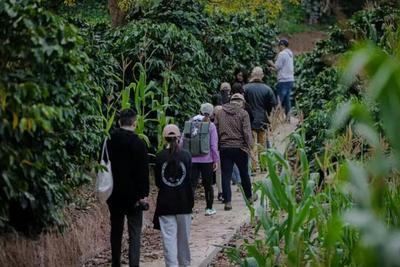 看“滇超联赛”，逛普洱丨1月31日普洱主场，送你一份“很新”的旅行手册