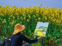 红河蒙自，油菜花开金浪涌，冬暖花开出游时 