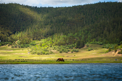 从雪山到雨林 云南康旅集团山海遊旗下景区春节文旅盛宴等您来！