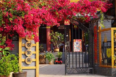 冬暖花开游云南｜楚雄这个彝族村落，藏着冬天最治愈的慢生活！