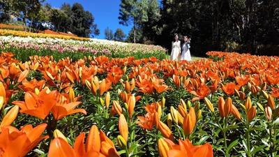 1月24日，楚雄主场怎么玩？这份滇超联赛“文旅加油包”请收好