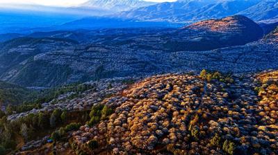 冬暖花开游云南，寻香觅韵在洱源——2026年洱源梅花文化季邀您共赴“梅”好之约