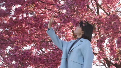 快来！楚雄的“粉色冬日”模式已开启