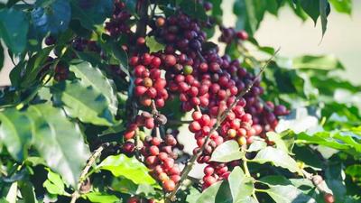 冬暖花开游云南｜在美丽星村，把日子过成诗 