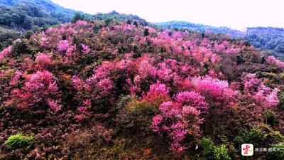 冬暖花开游云南 | 幸福旅居在云南！