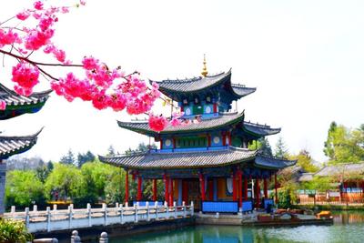 新闻发布会丨丽江“十四五”文化发展成果丰硕