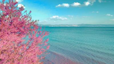 冬暖花开游云南｜邂逅冬日抚仙湖的限定浪漫