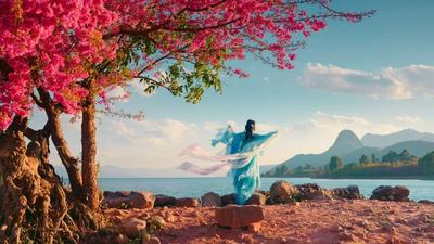 新春“趣”游玉溪丨玉溪的“反季浪漫”：这些冬日花海藏不住了