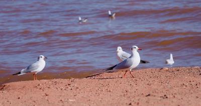 冬暖花开游云南｜邂逅冬日抚仙湖的限定浪漫