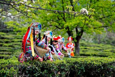 全国推介！楚雄这条乡村休闲旅游精品线路等你来打卡