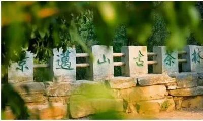 看“滇超联赛”，逛普洱丨1月31日普洱主场，送你一份“很新”的旅行手册