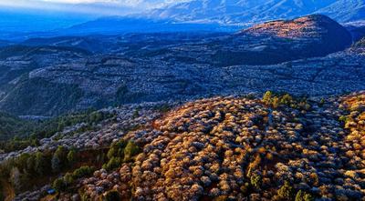 洱源春日限定：2月7日，等你来洱源解锁多元文旅新体验！