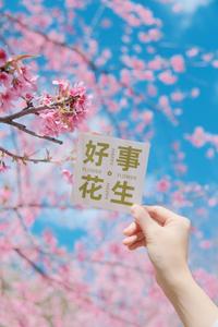 冬暖花开游云南 | 一月，去红河！赏花、看球、品人间烟火