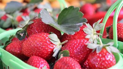 冬暖花开游云南丨红河，一场不期而遇的温暖邀约