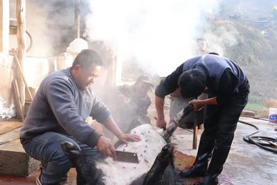 冬暖花开游云南 | 大理杀猪饭，开吃！！