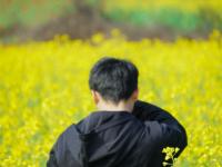 红河蒙自，油菜花开金浪涌，冬暖花开出游时 