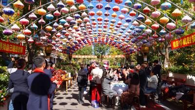 永仁“旅居引力”有多强？电力数据告诉你答案