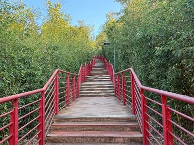 新春“趣”游玉溪丨步步高升迎新岁，红塔区新春登山指南