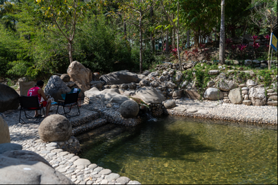 暖春赴野泉，禄劝三江口！藏在峡谷里的新春野趣秘境