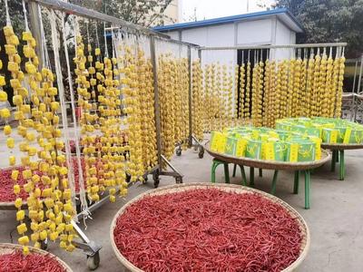 寻味云南·从三味豆腐里，走进云南的烟火日常