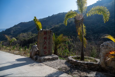 暖春赴野泉，禄劝三江口！藏在峡谷里的新春野趣秘境