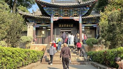 一粒咖啡豆一颗牛油果，孟连春节“吸金”近2亿元