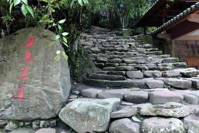 《普洱市茶马古道文化遗产保护条例》将于2026年3月1日起施行 