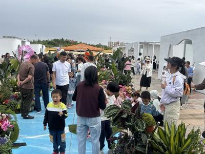 春节​游楚雄，“花式”过大年！2026新春文旅活动②：楚雄市活动