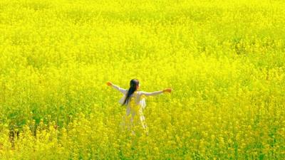 世界花园 普洱之旅 | 花开满城！普洱新春花宴等你来赴