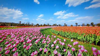 接下来，你将在红河看到……