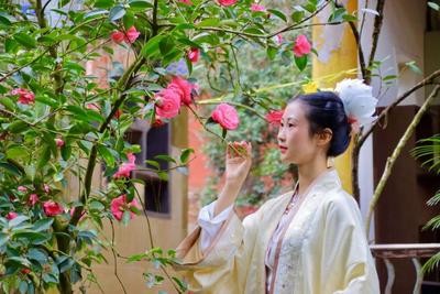 新春“趣”游玉溪丨春节旅游线路推介——锦绣贺岁赏花之旅