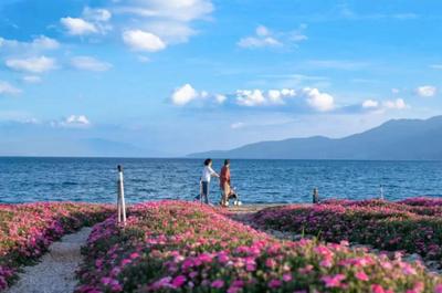 新春“趣”游玉溪丨春节旅游线路推介——锦绣贺岁赏花之旅