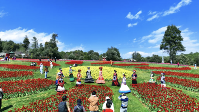 走，去楚雄“闹”元宵！赛装、跳笙、千人跌脚，太好玩了！