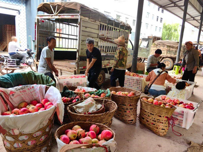 大理弥渡小里村：一泓清水润民生 富了口袋更守平安