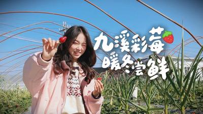 新春“趣”游玉溪丨江川：九溪彩莓 暖冬尝鲜