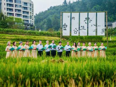 “艺术+生态+农文旅”——云南康旅集团用“玛御谷模式”解码旅居业态新样本