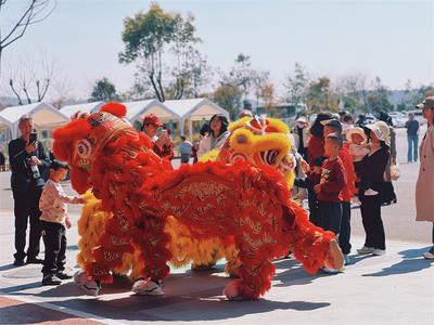 马跃新春 热闹欢腾 | 华侨城云南2026春节活动暖心收官
