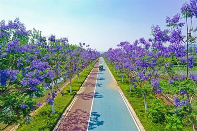 来红河红红火火过大年 | 万马奔腾迎新春，红河春节活动第一弹精彩来袭！