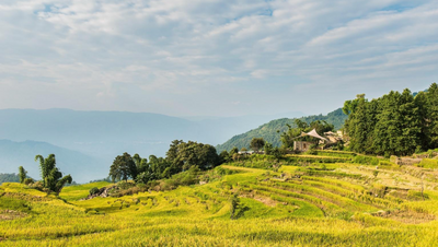 睡进红河的云海里，做一场野奢的梦
